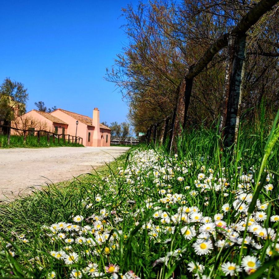 Residenza La Gallinella * Comacchio